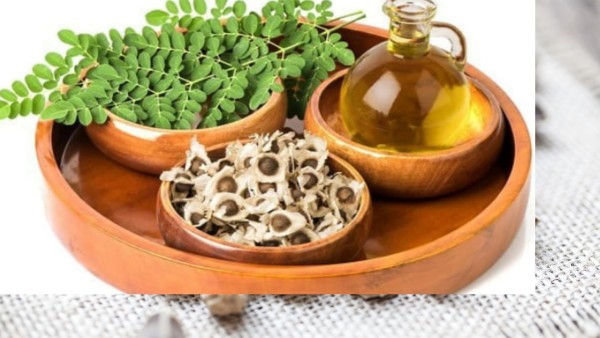 Ilustrasi, biji, daun dan minyak kelor (youtube.com)-1634887974