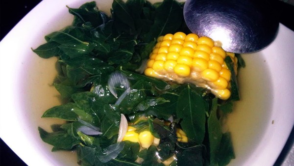 Daun katuk-1637652237