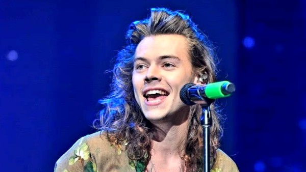 Harry Styles. (net)-1639206070