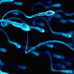 Ilustrasi sperma-1648362178