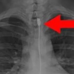 Wanita makan kabel charge-1668691800