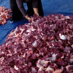 Daging-1688108867