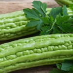 sayur pare-1696330818