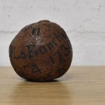 Jeruk Lemon-1706755594