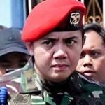 mayor teddy-1710253648