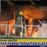 kebakaran-1715049151