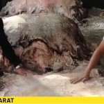 Pengrajin Kulit-1718697140