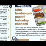 mbg-1772783101