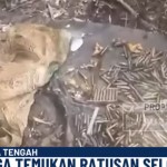 Tangkapan layar Nusantara TV-1792382951