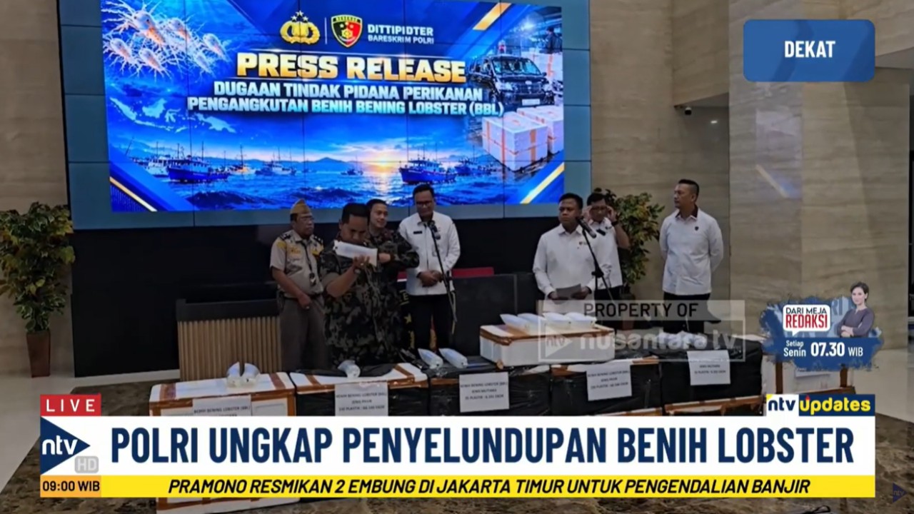 Dirtipidter Bareskrim Polri, Brigjen Pol Mohammad Irhamni mengungkapkan penyelundupan benih baby lobster senilai Rp5,8 Miliar